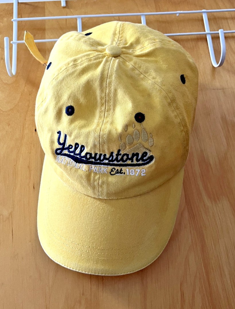 UM Griz Yellowstone Montana Wyoming Hats | VOLUME DISCOUNT | Rare & Vintage
